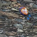 別荘 Ca' Verdemare